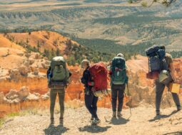 Harminder Thind-work travel