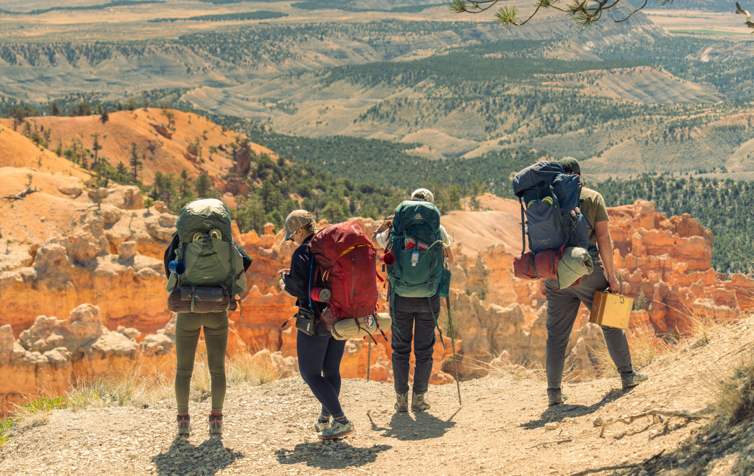 Harminder Thind-work travel